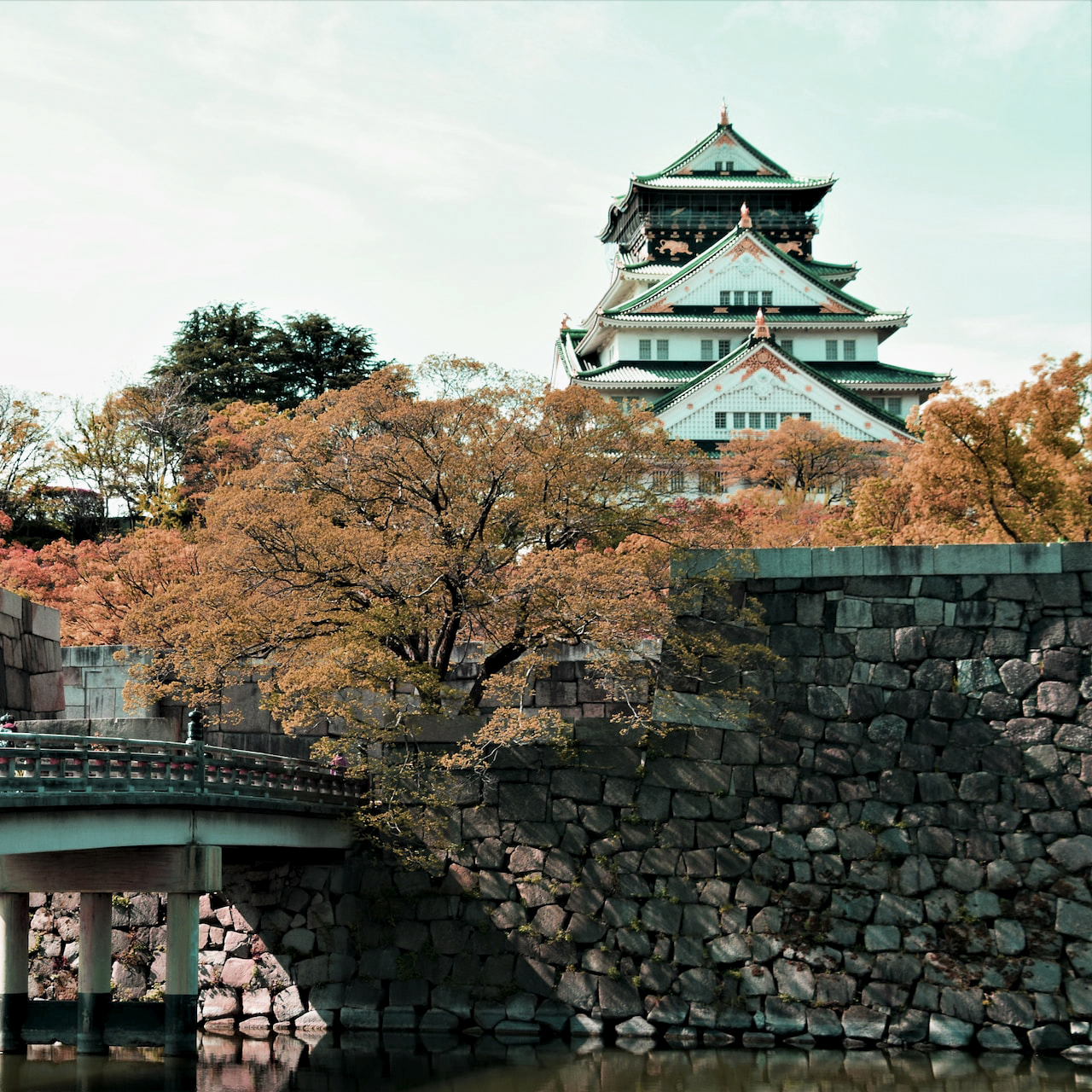 jeremy-santana-7_puF4jioPo-unsplash